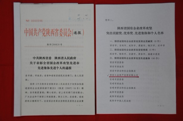 2009年2月，被陜西省委、省政府授予陜西省國(guó)有企業(yè)改革攻堅(jiān)先進(jìn)集體